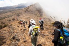 Kilimanjaro Climbing MACHAME ROUTE Africa safari