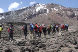 Kilimanjaro Climbing RONGAI ROUTE Africa safari