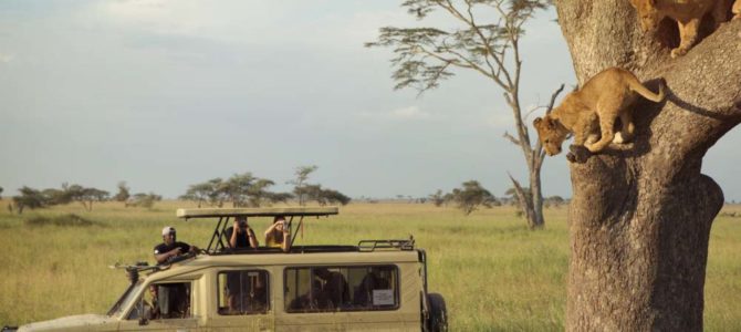Ngorongoro-Lobo-Serengeti-Ndutu-Manyara 6 Days 5 Nights Africa Safari