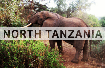North Tanzania tours