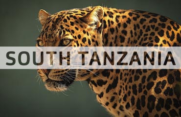 South tanzania africa african tanzania tours packages honeymoon safari mikumi ruaha selous