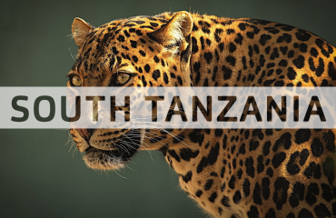 South Tanzania