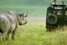 The Rhino’s Camping (Budget Camping) Ngorongoro-Manyara 3 nights 4 days Africa safari