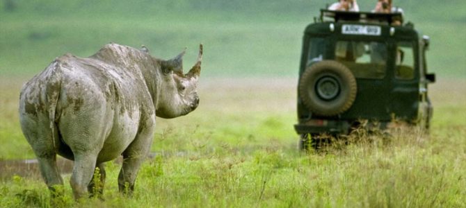 The Rhino’s Camping (Budget Camping) Ngorongoro-Manyara 3 nights 4 days Africa safari