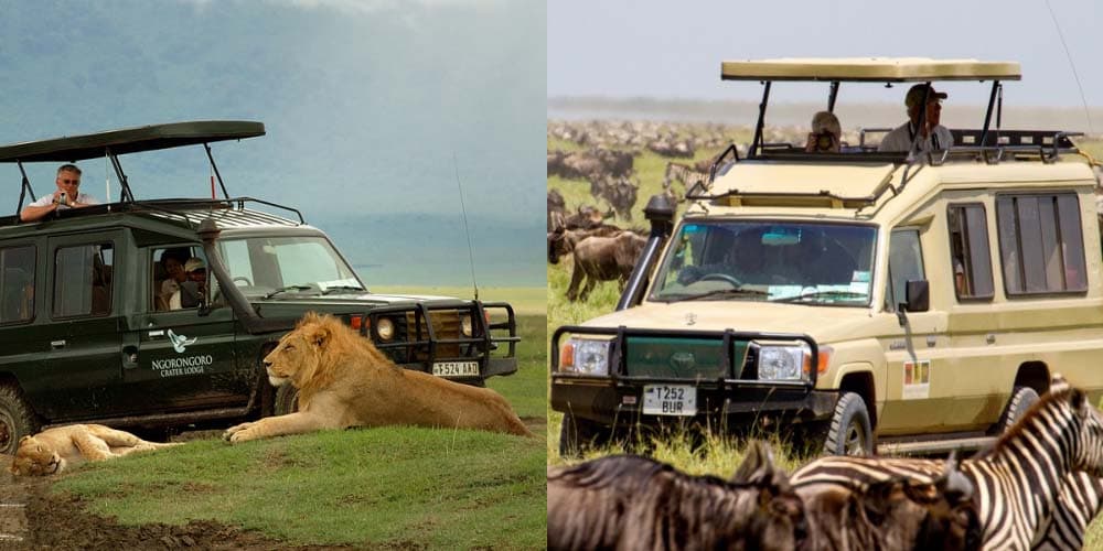 Africa safari in ngorongoro and tarangire park