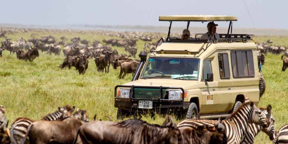 Tarangire Park 2 days 1 Night