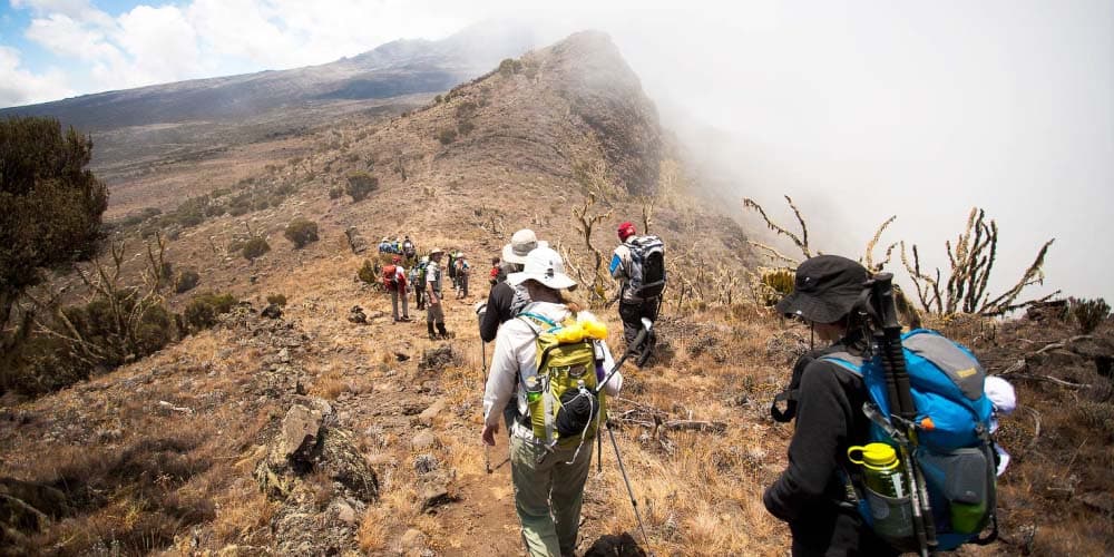 Kilimanjaro Climbing MACHAME ROUTE