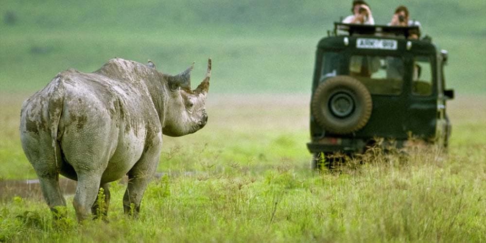 The Rhino Camping Budget Camping 3 nights 4 days Ngorongoro Manyara