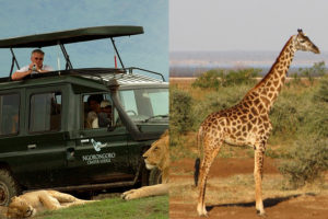 Ngorongoro Manyara 2 Nights 3-Days tour package in north Tanzania
