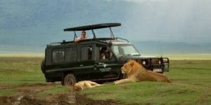 Ngorongoro crater 2 Days 1 Night Africa Vacation Safari package tour