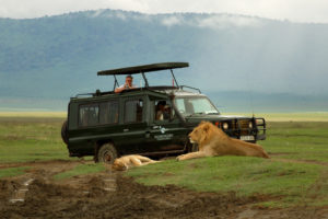 Ngorongoro crater 2 Days 1 Night tour package in north Tanzania
