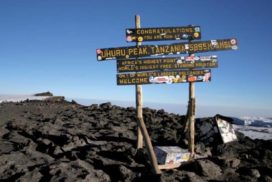 Kilimanjaro Climbing MARANGU ROUTE Africa safari