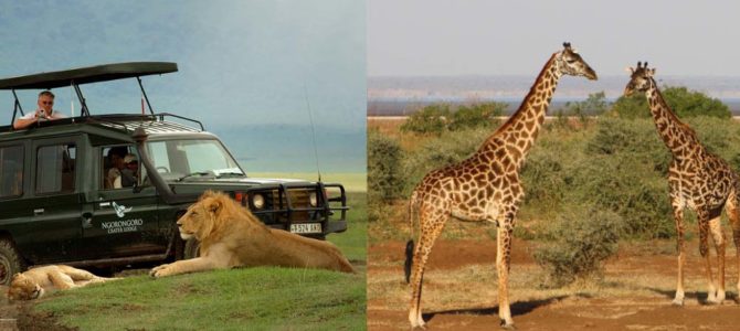 Ngorongoro-Manyara 2 Nights 3 Days Africa Safari