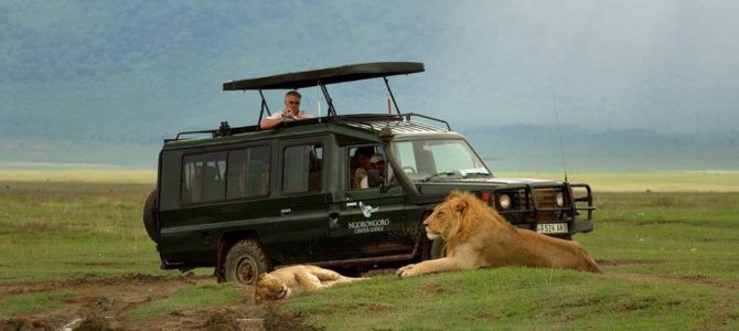 Ngorongoro crater 2 Days 1 Night Africa Safari